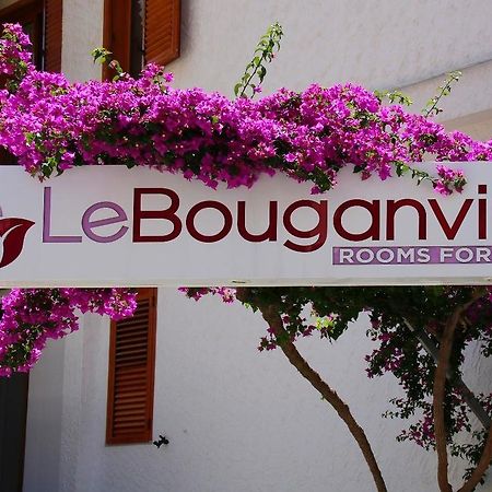 Le Bouganville 维耶斯泰 外观 照片